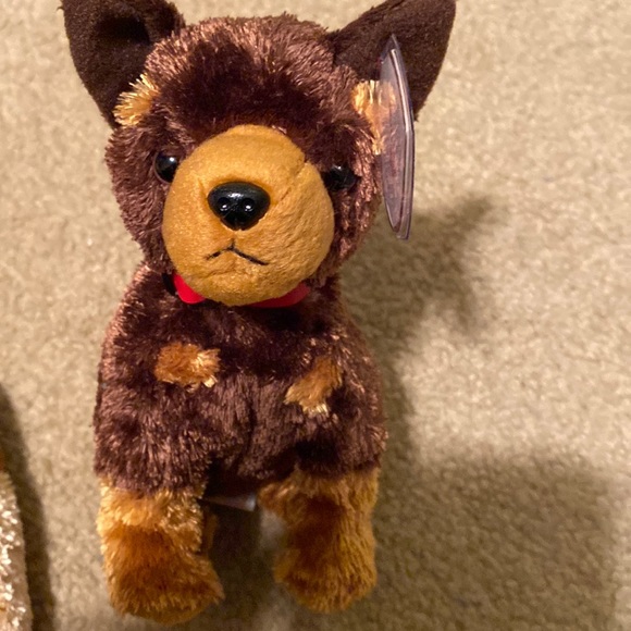 Ty Other - Ty Beanie Babies Baby Amigo Dog Puppy Rare Vintage Collectible Plush Cute Fun